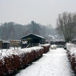 windhoos in witte wereld