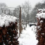 doorkijkje in de wintertuin